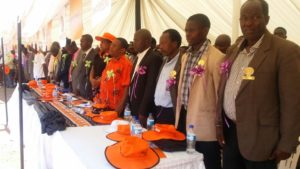 netone